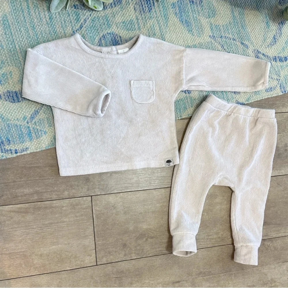 Modern Moments by Gerber Baby Boy Long Sleeve Velour Top & Pant Outfit Set